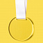 Медаль GLORY в подарочной упаковке, 70х66х5 мм, акрил с логотипом в Ставрополе заказать по выгодной цене в кибермаркете AvroraStore
