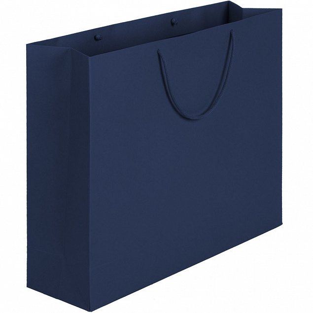 Пакет Ample L, синий с логотипом в Ставрополе заказать по выгодной цене в кибермаркете AvroraStore