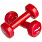 Гантель Heracles 1 кг, красная с логотипом в Ставрополе заказать по выгодной цене в кибермаркете AvroraStore