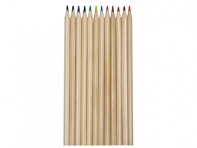 Набор из 12 трехгранных цветных карандашей «Painter» с логотипом в Ставрополе заказать по выгодной цене в кибермаркете AvroraStore